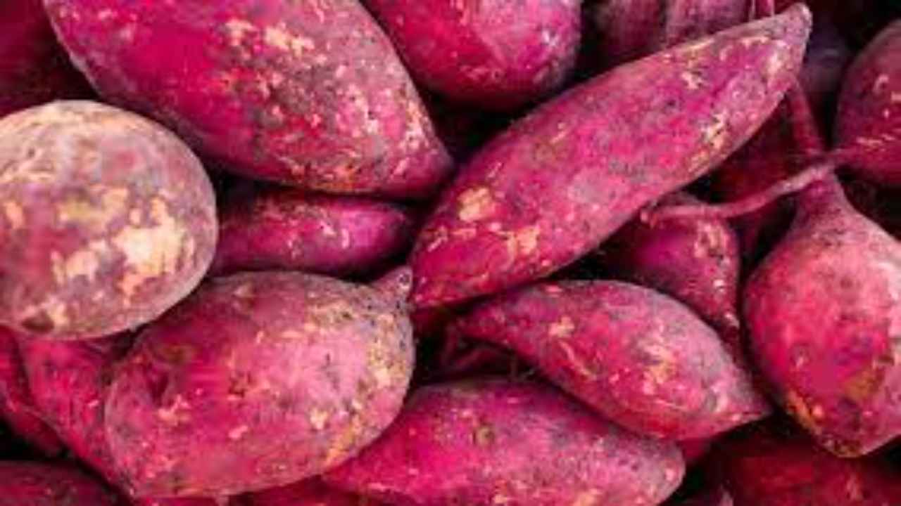 Sweet Potatoes Benefits