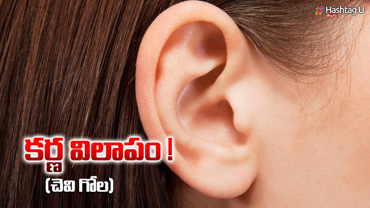 Ear