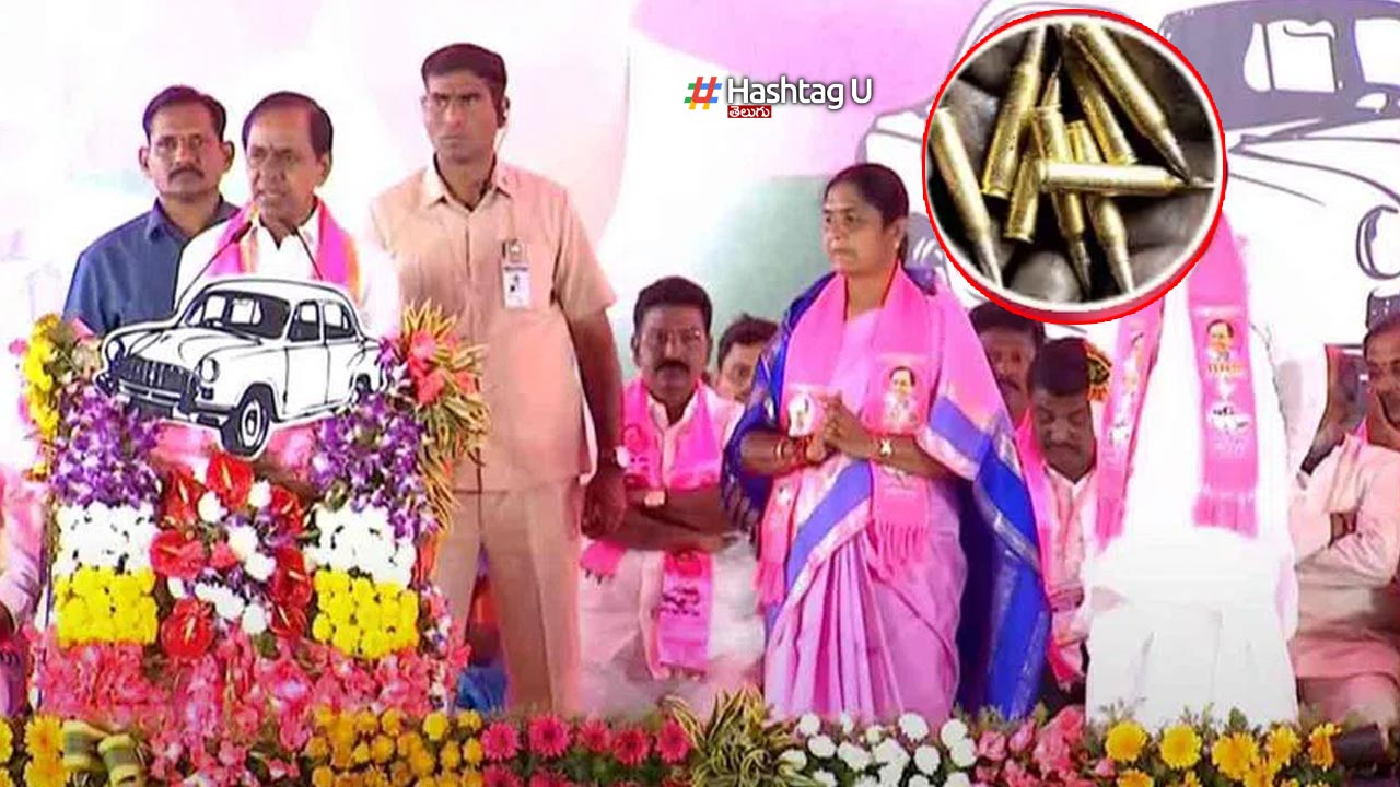 Gun Bullets In Cm Kcr Publi