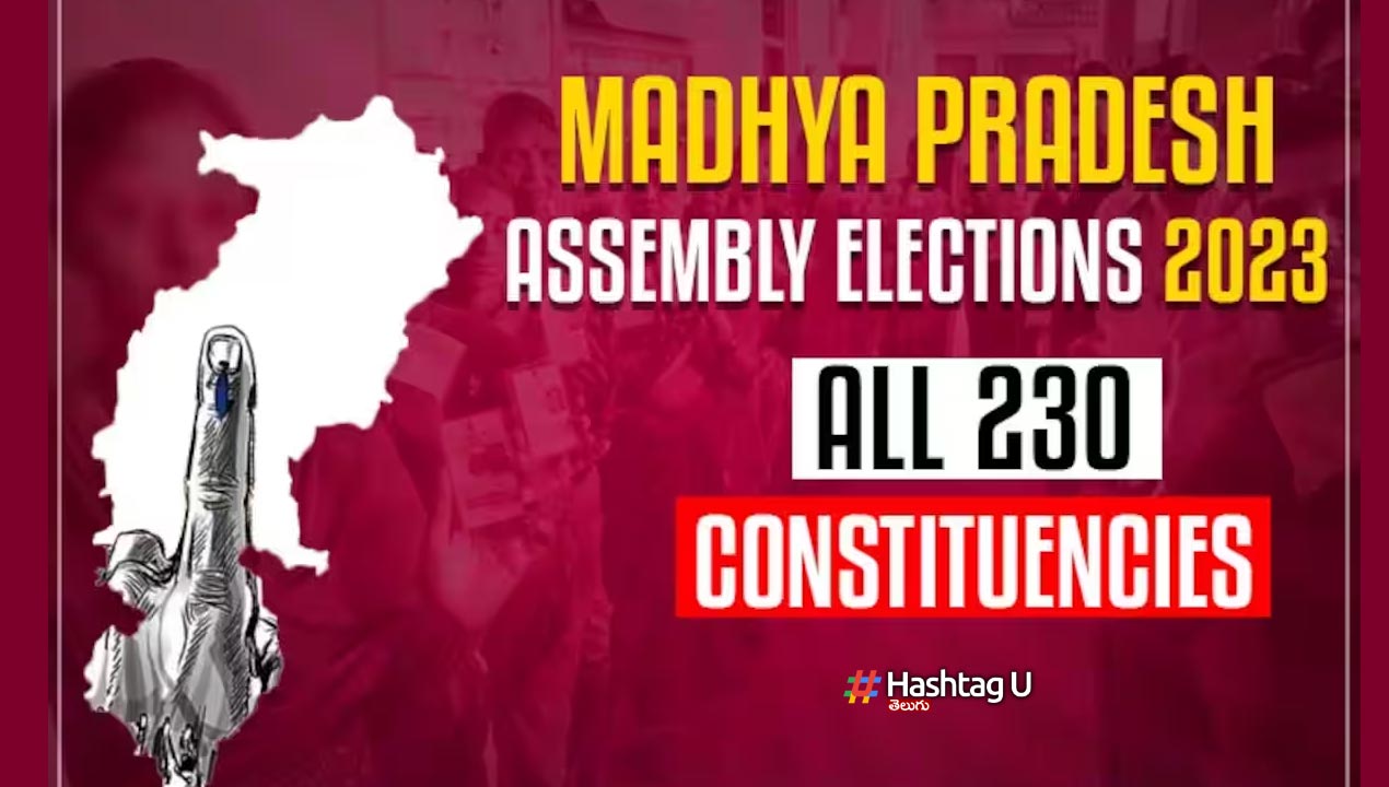 Mp Polls