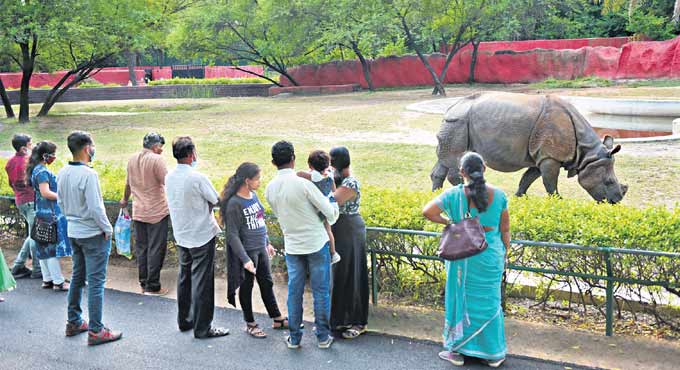 Nehru Zoo