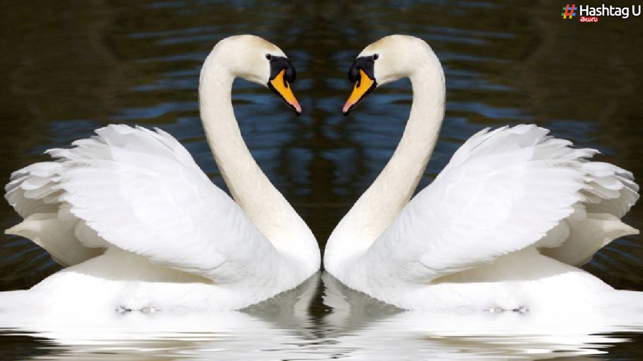 Soulmate Signs