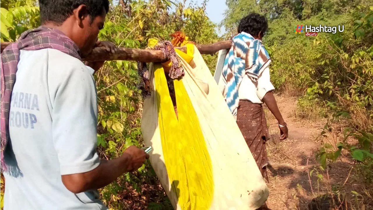 Ap Tribal People Problems
