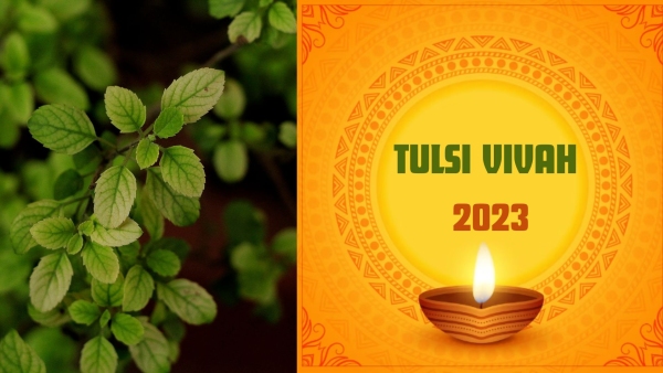 Tulsi Vivah 2023