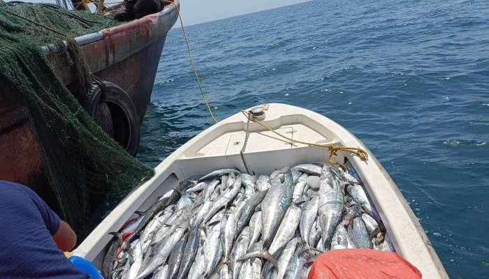 Ban on fishing in Oman