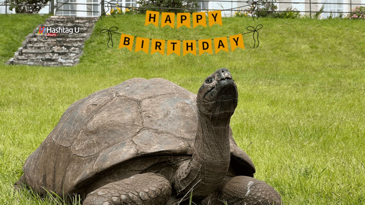 191st Birthday