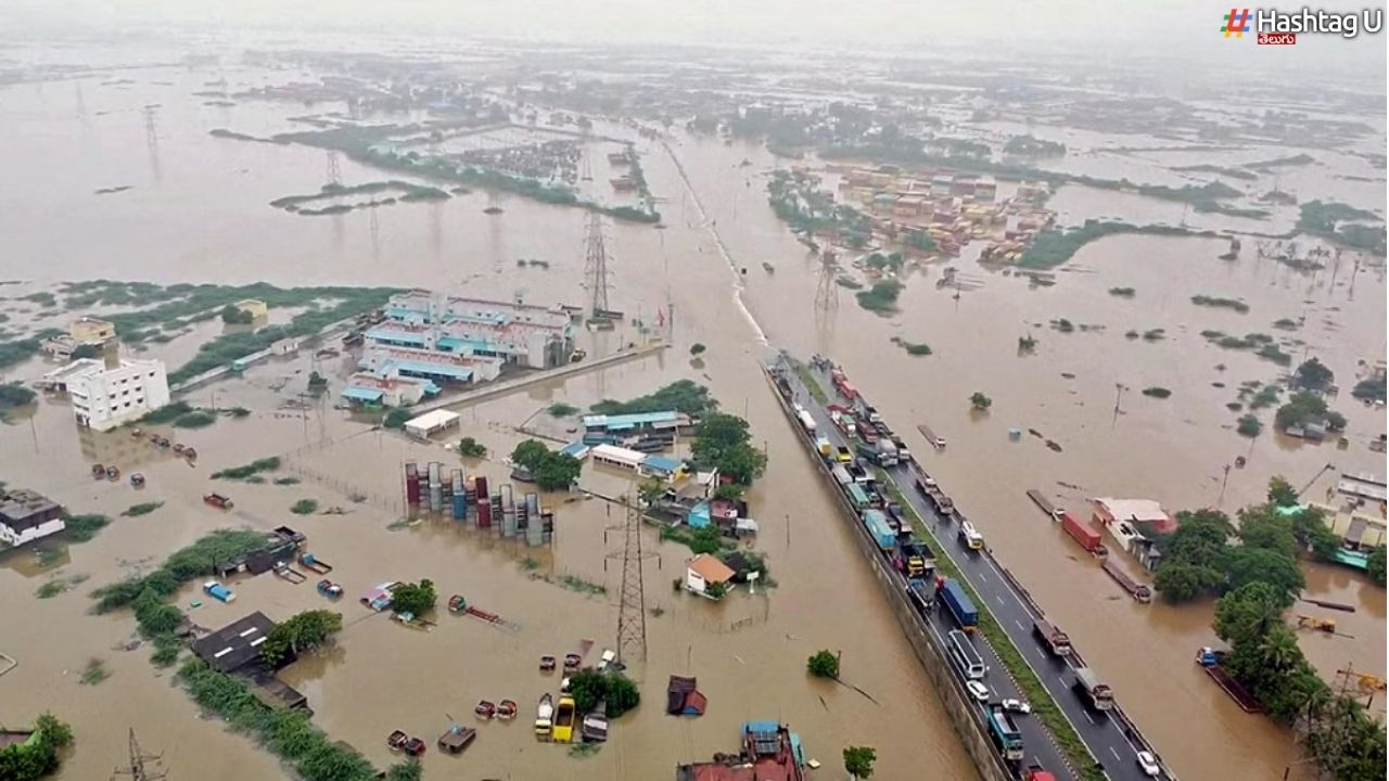 20000 Stranded