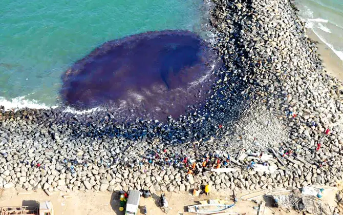 Ennore Oil Spill
