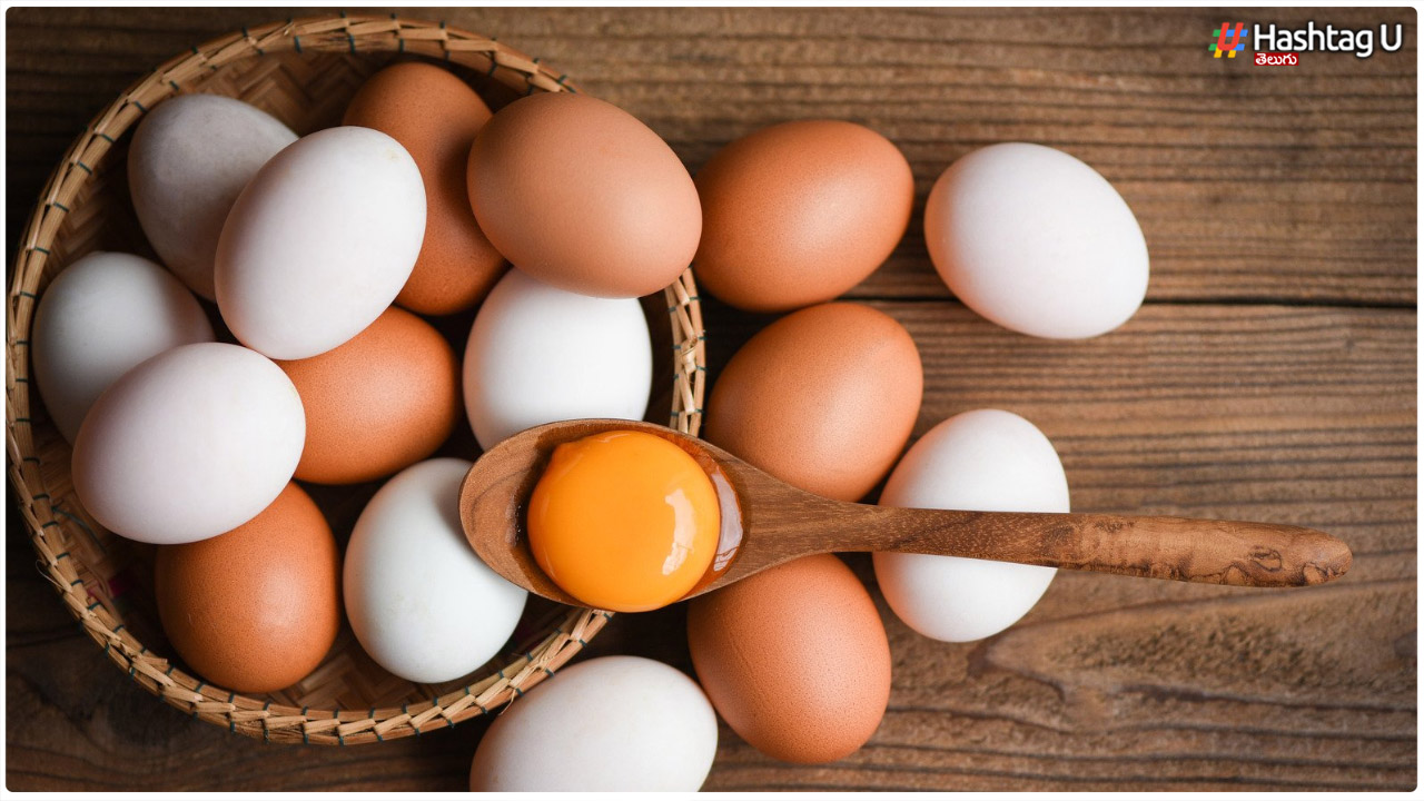 White Egg, Brown Egg.. Do You Know Which One Is Better For Health..