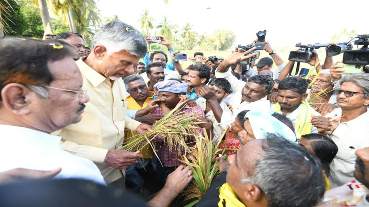 TDP