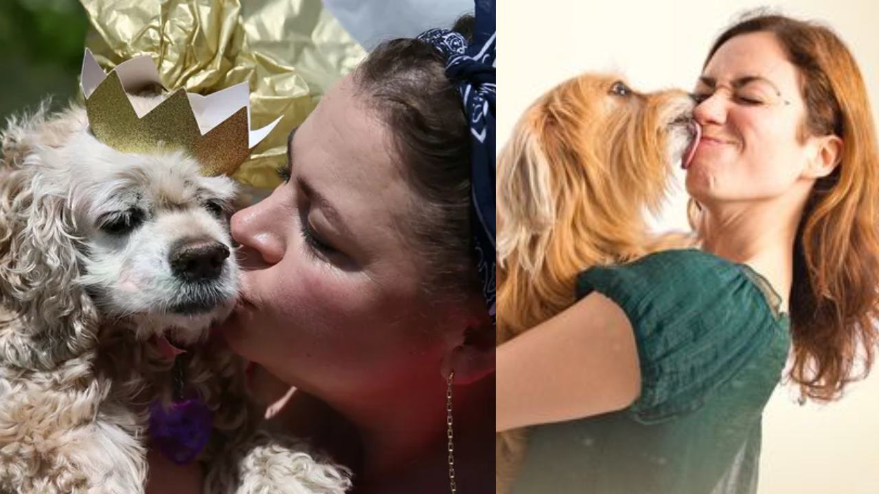 Pets