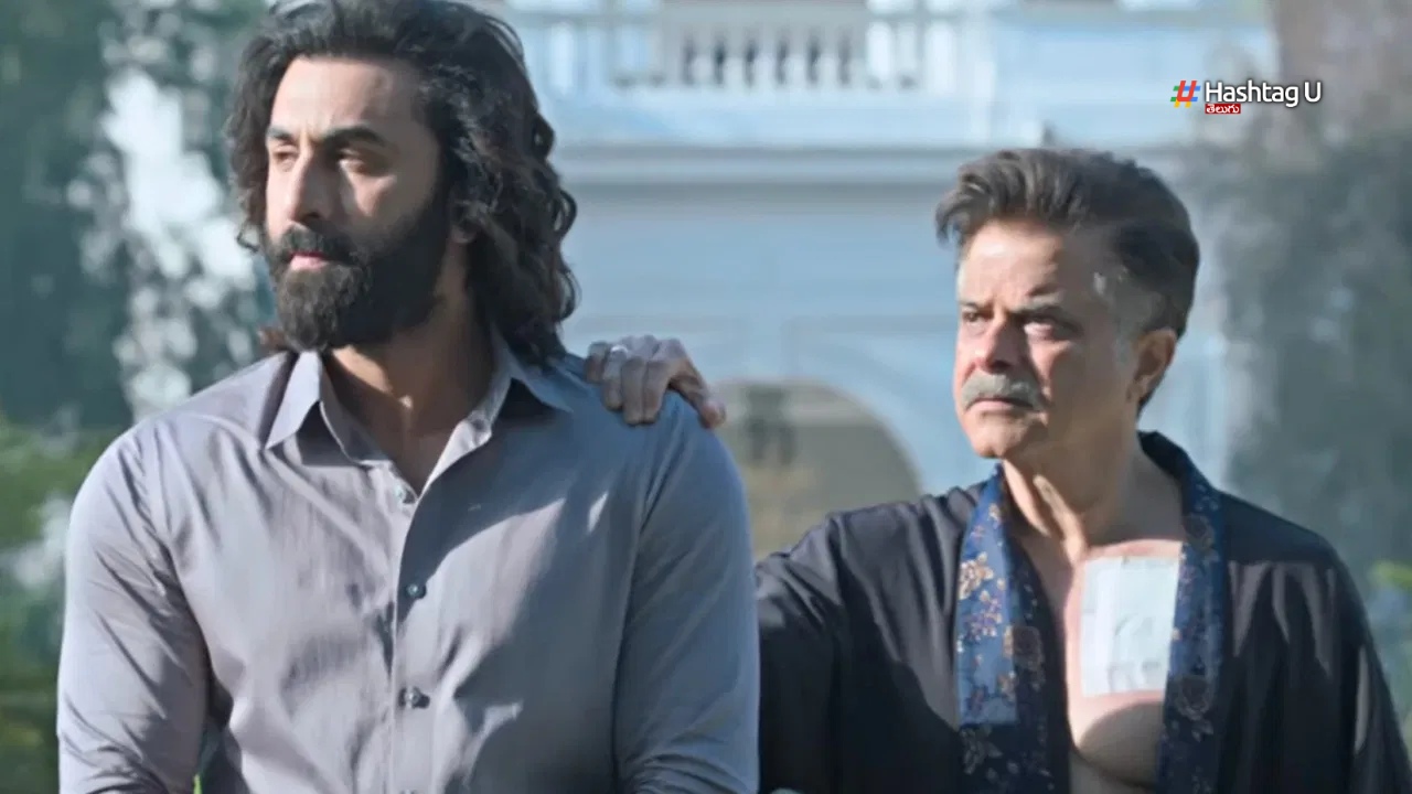 How Many Times Pappa (nanna) Word Used In Ranbir Kapoor Sandeep Vanga Animal Movie Here Is The Answer