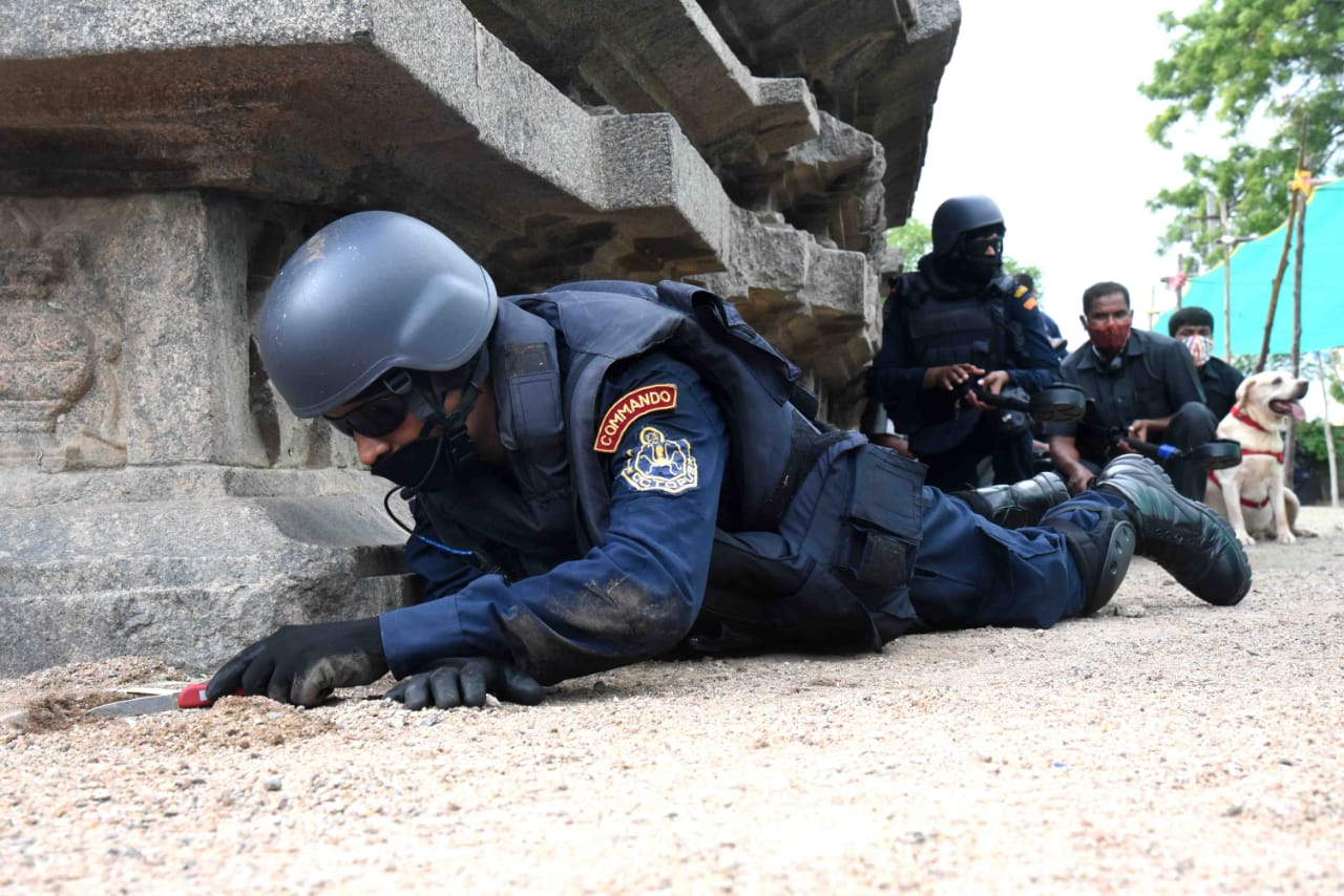Octopus And Swat