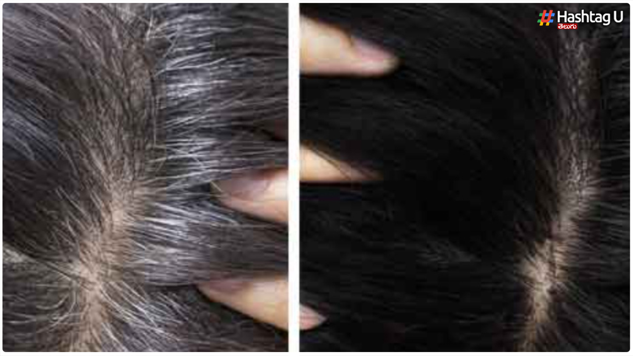 To Turn White Hair Black You Have To Do This With Coconut Shell..