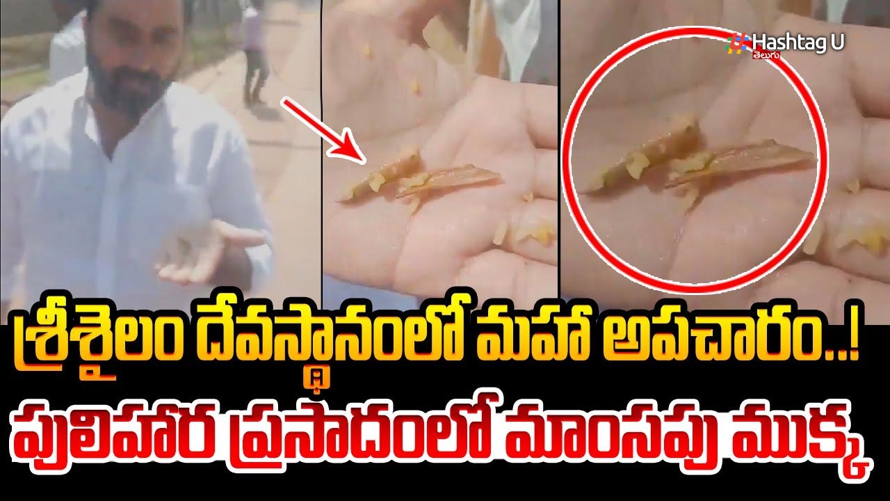A Piece Of Meat In Prasadam