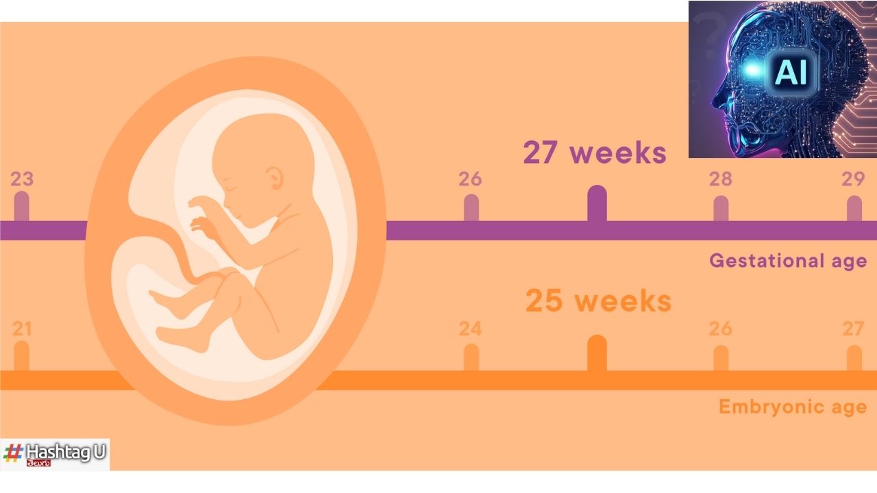 Ai Fetus