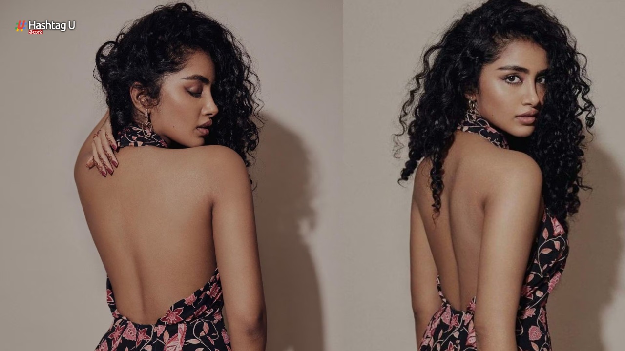 What is Lilly Aka Anupama Parameswaran Next Step