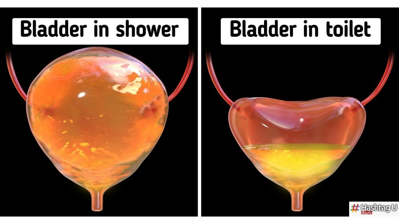 Bathing Vs Peeing