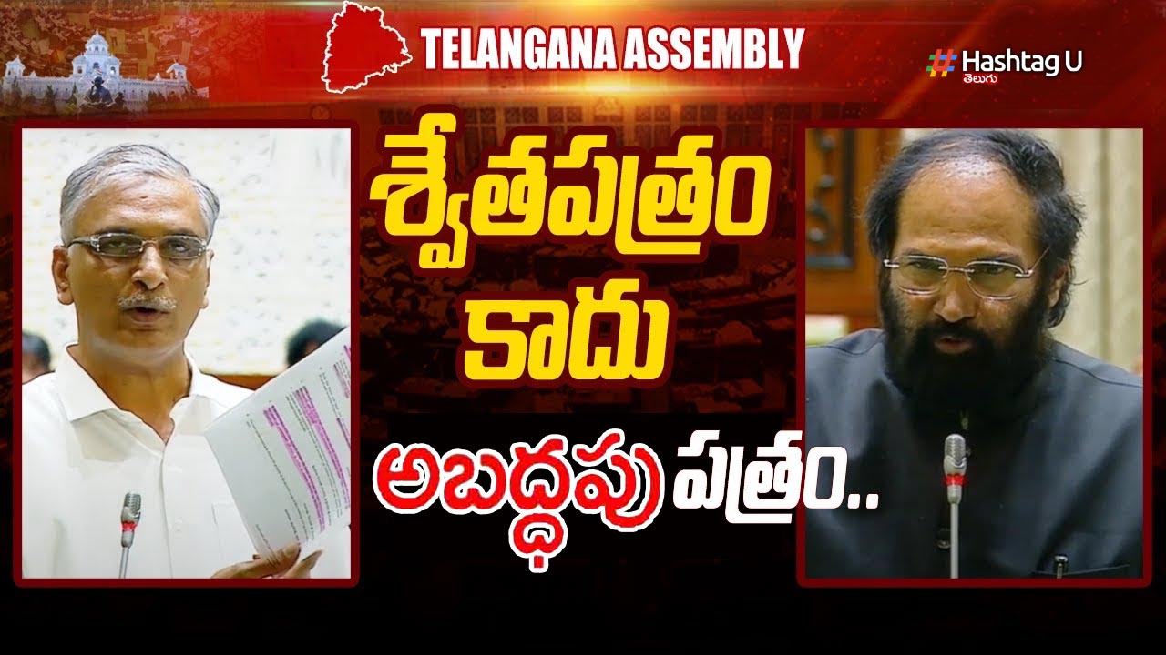 Harish Rao White Paper
