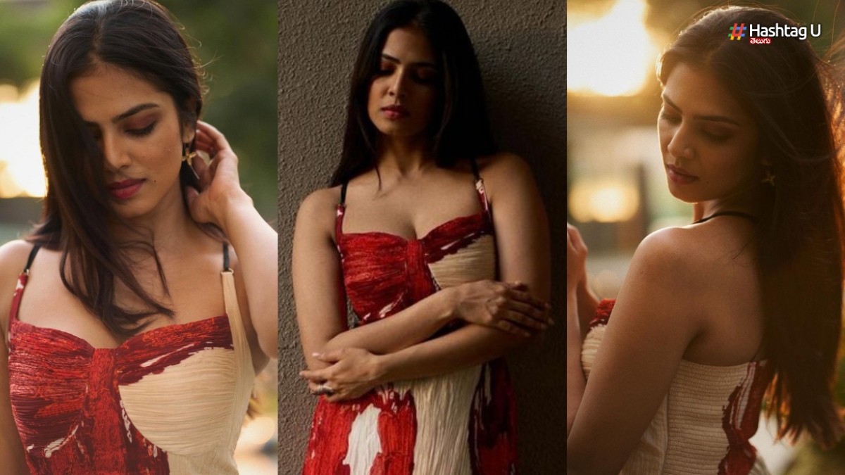 Anushka Samantha are My Favourate in Telugu Industry said Malavika Mohanan