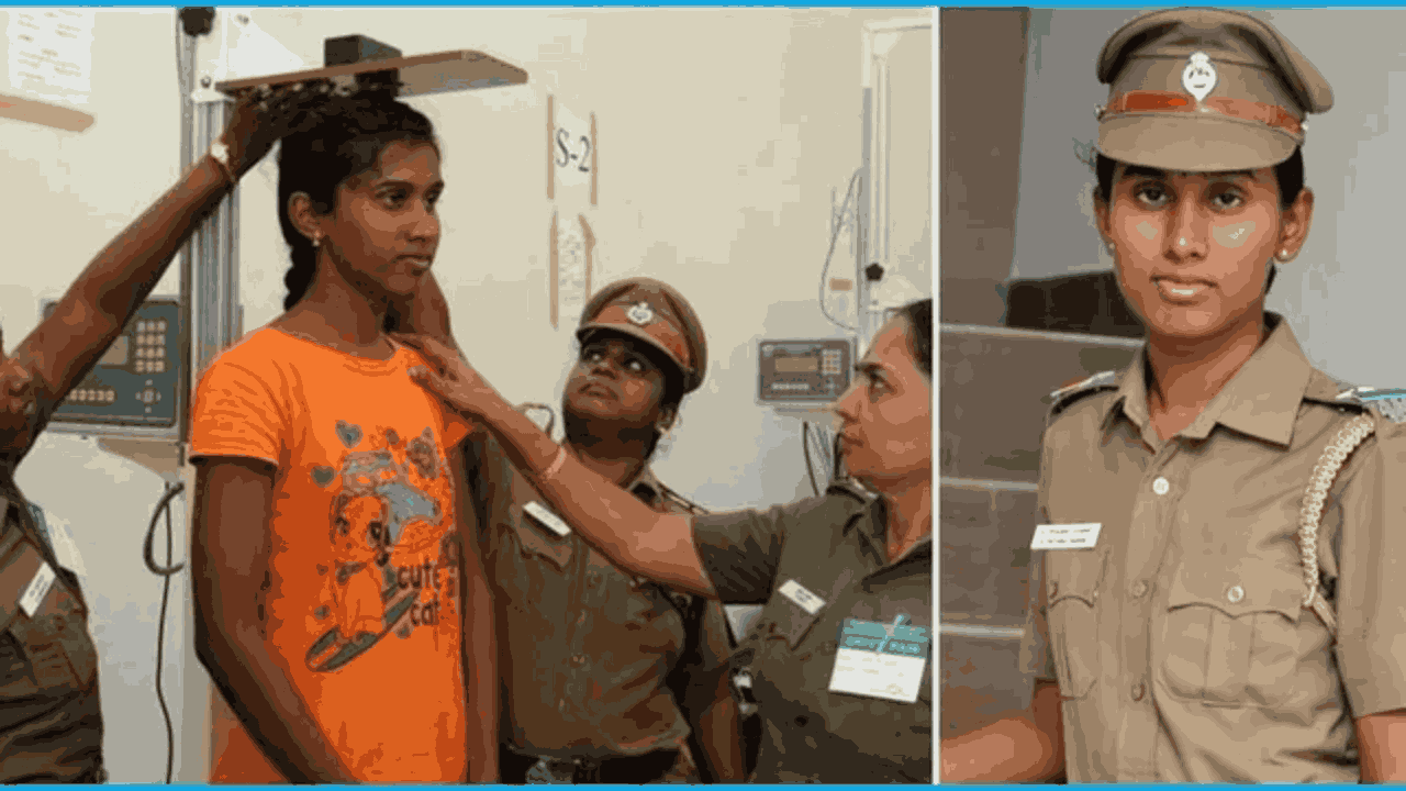 Transgender Ticket Inspector