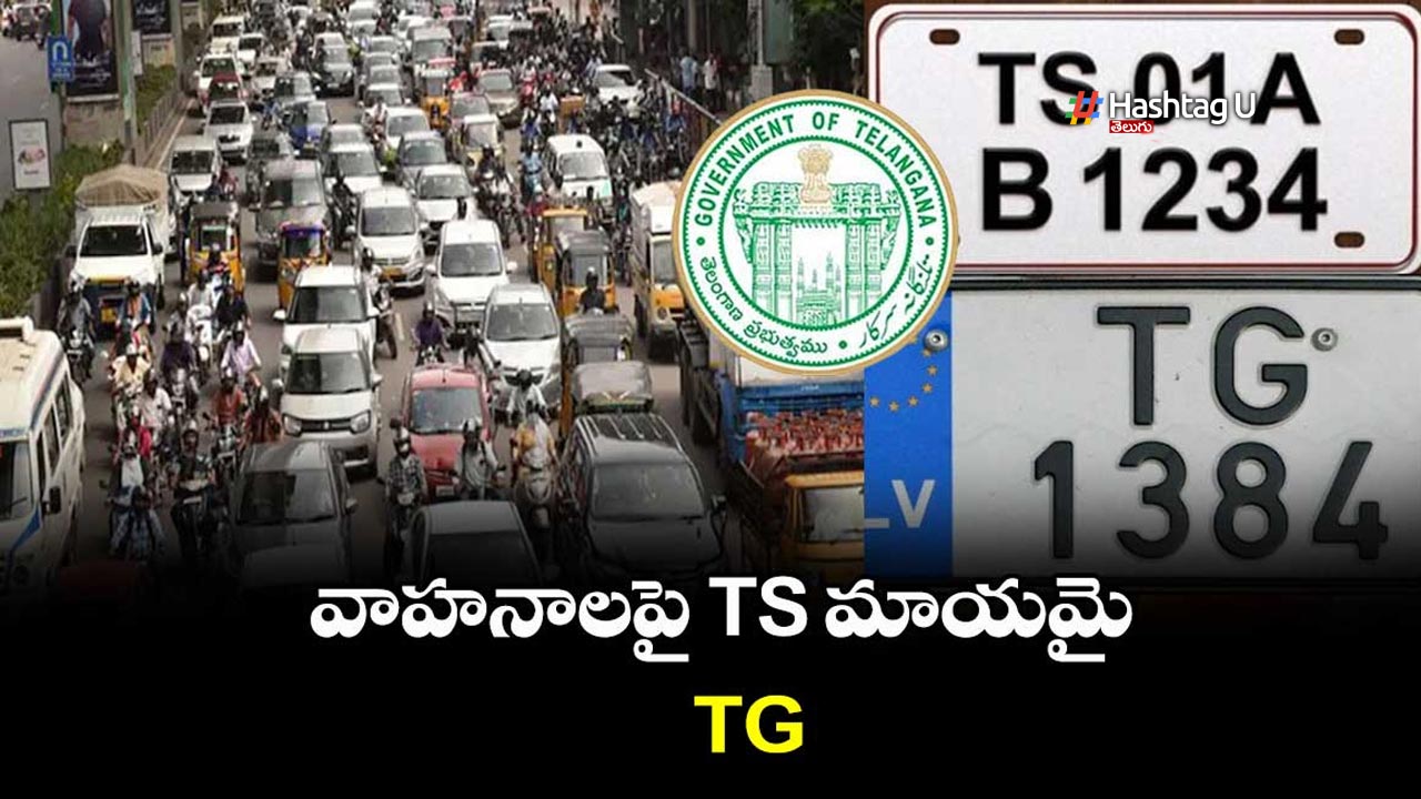 Ts Tg Talk