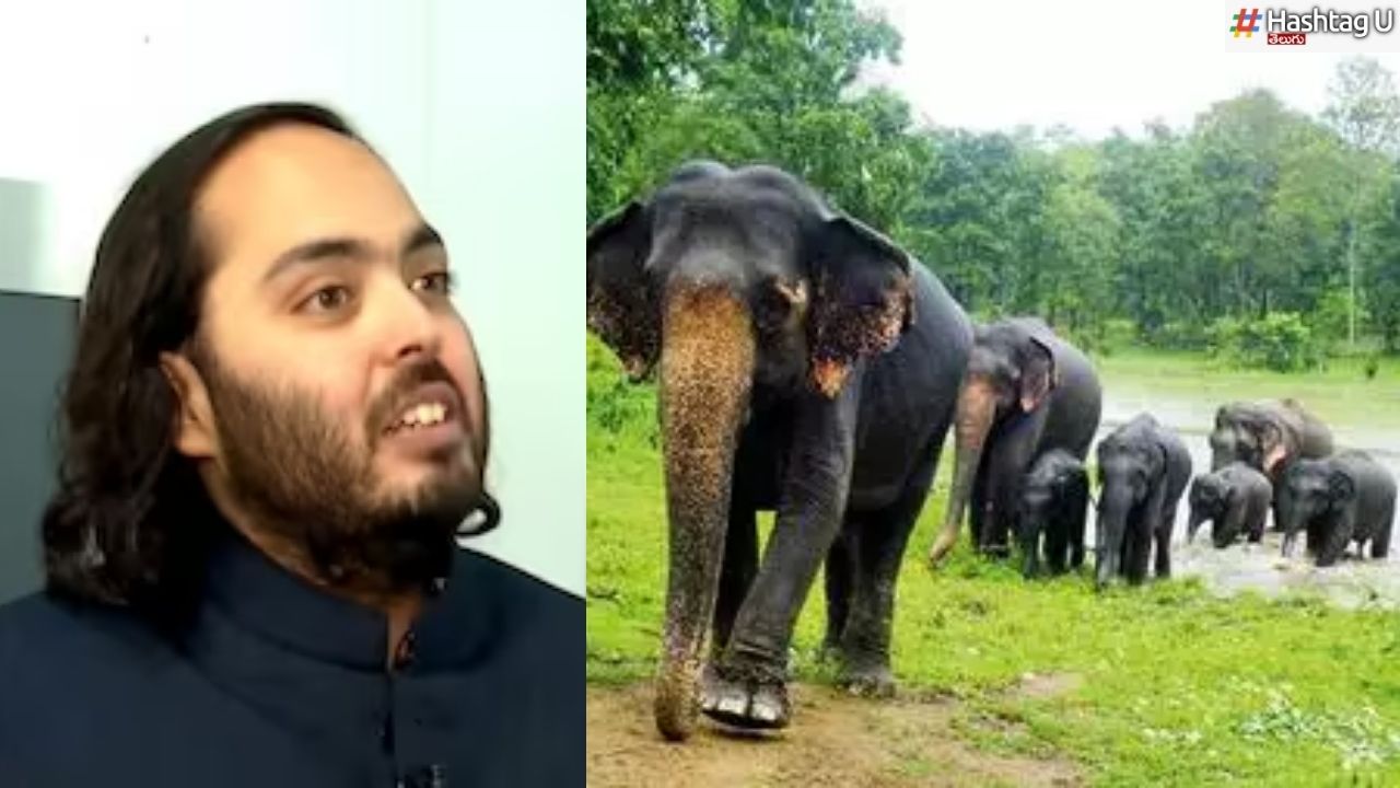 Vana Antara