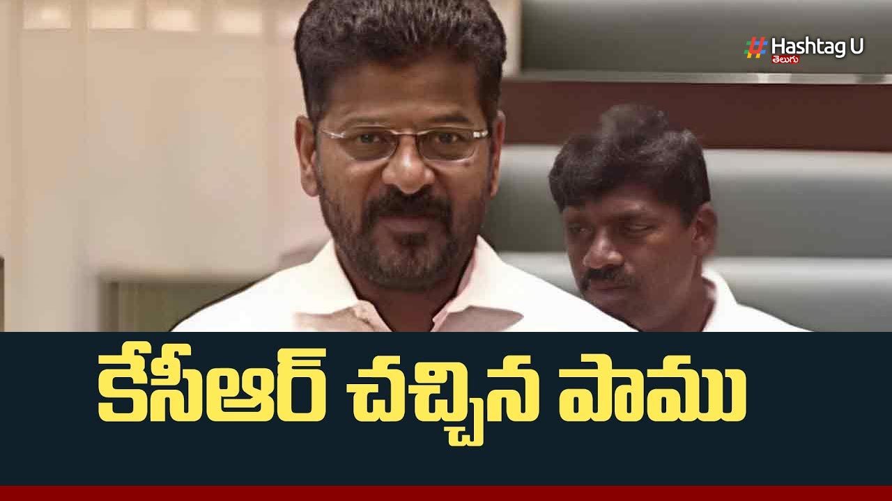 Kcr Snake
