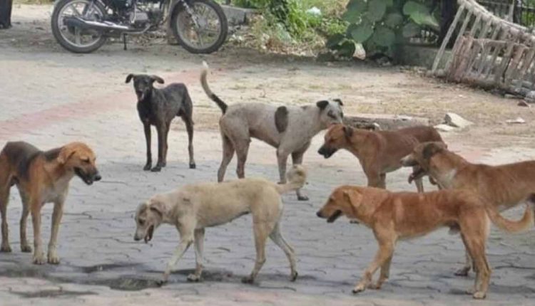 Jagtial: