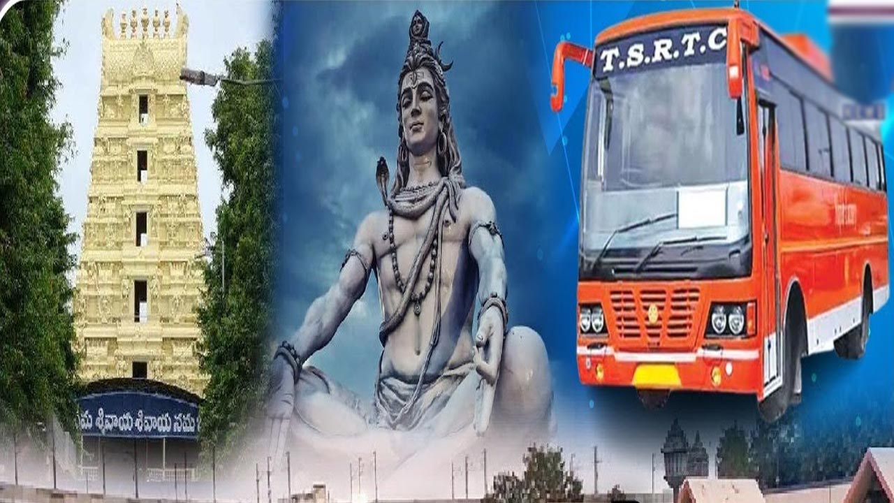 A Thousand Special Buses Fo