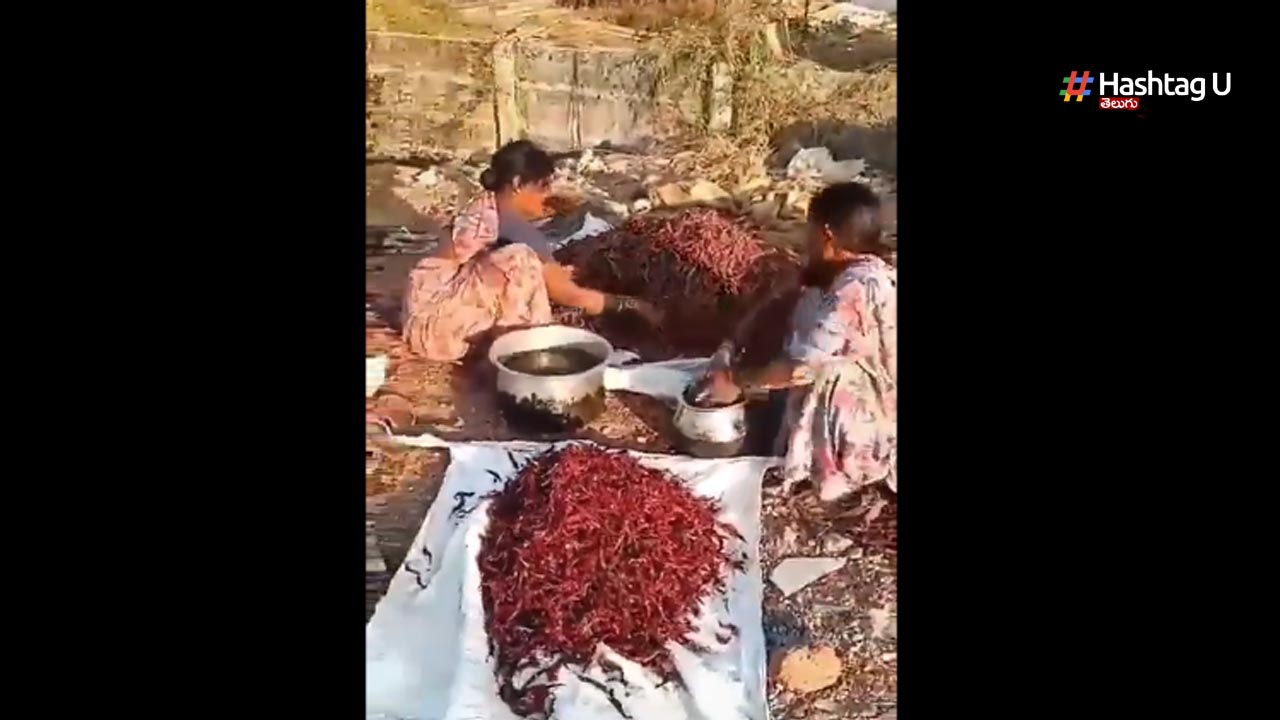 Color Added Chili
