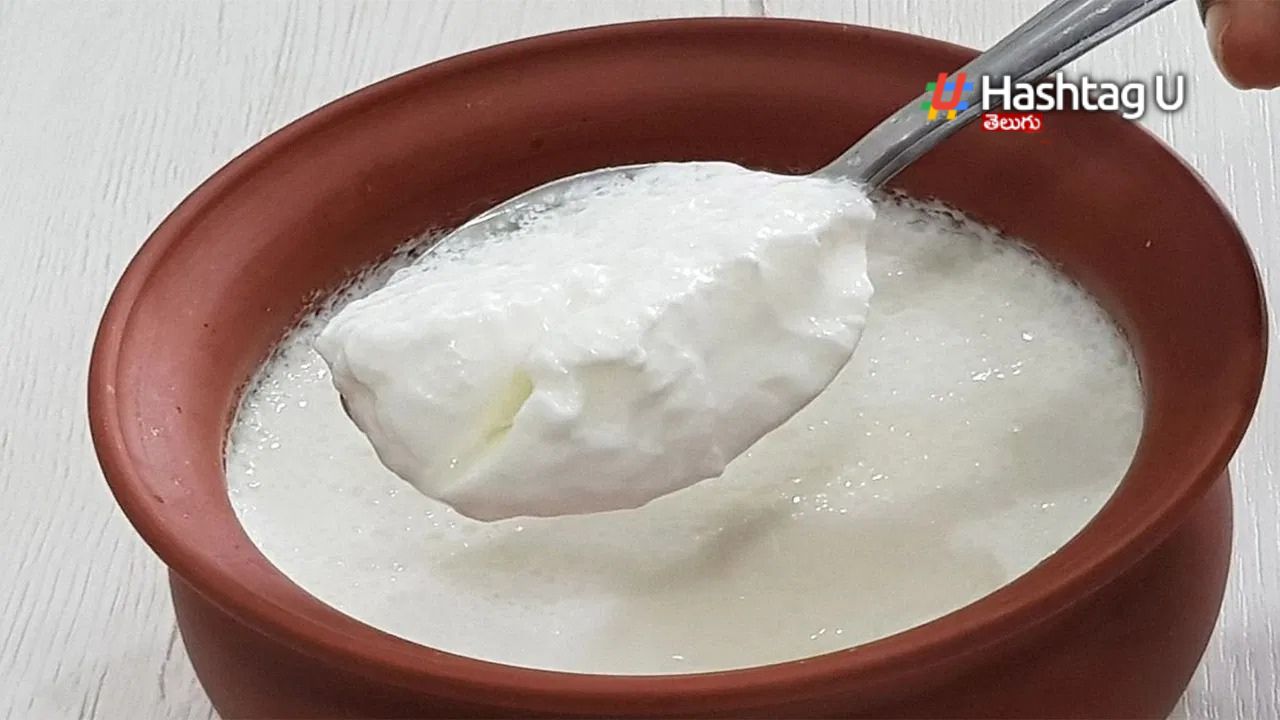 Curd in Rainy Season