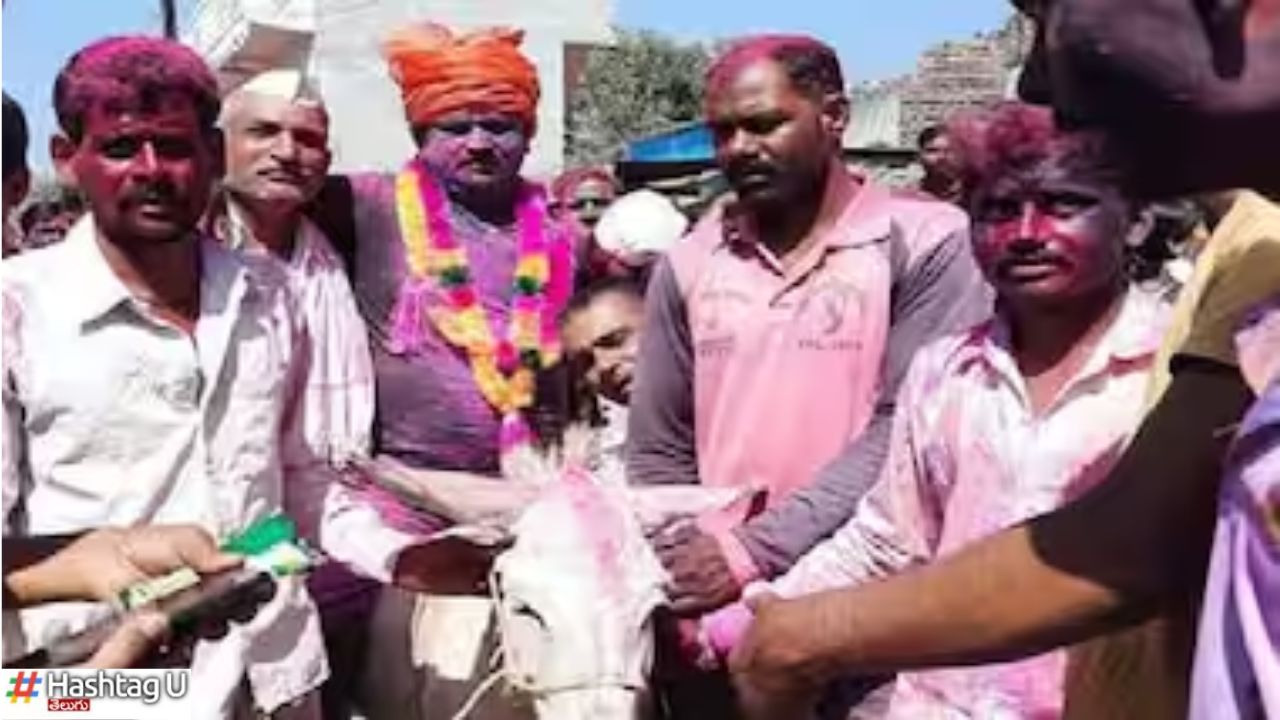 Donkey Ride