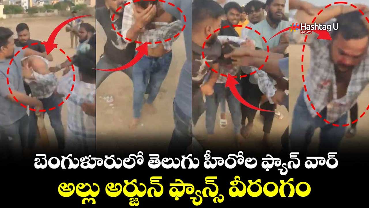 Fans Fight