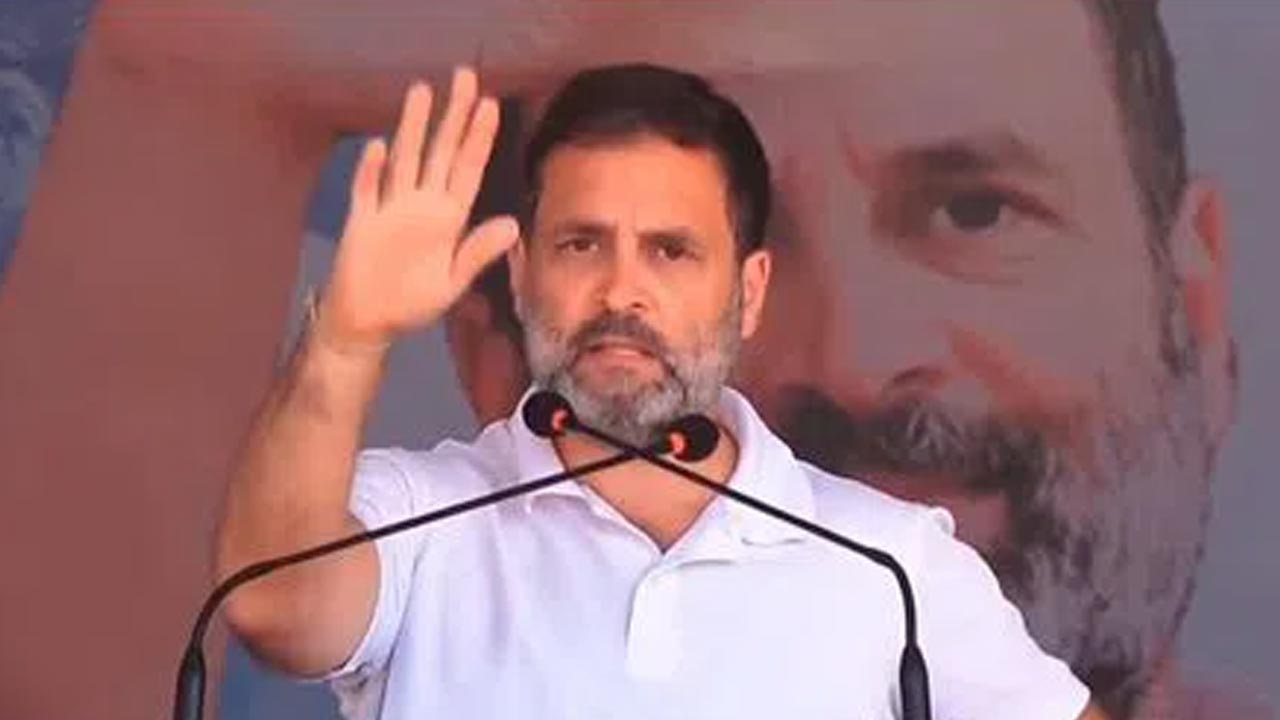 If We Come To Power, We Wil