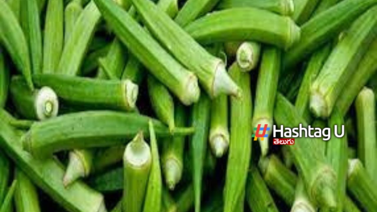 Lady Finger Causes Cancer
