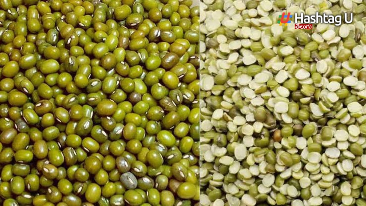 Mung Bean