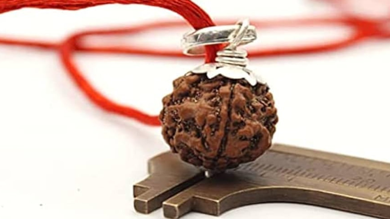 Real Rudraksha