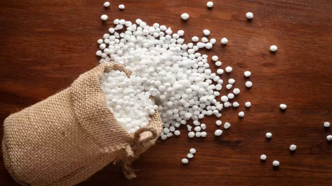 making of sabudana