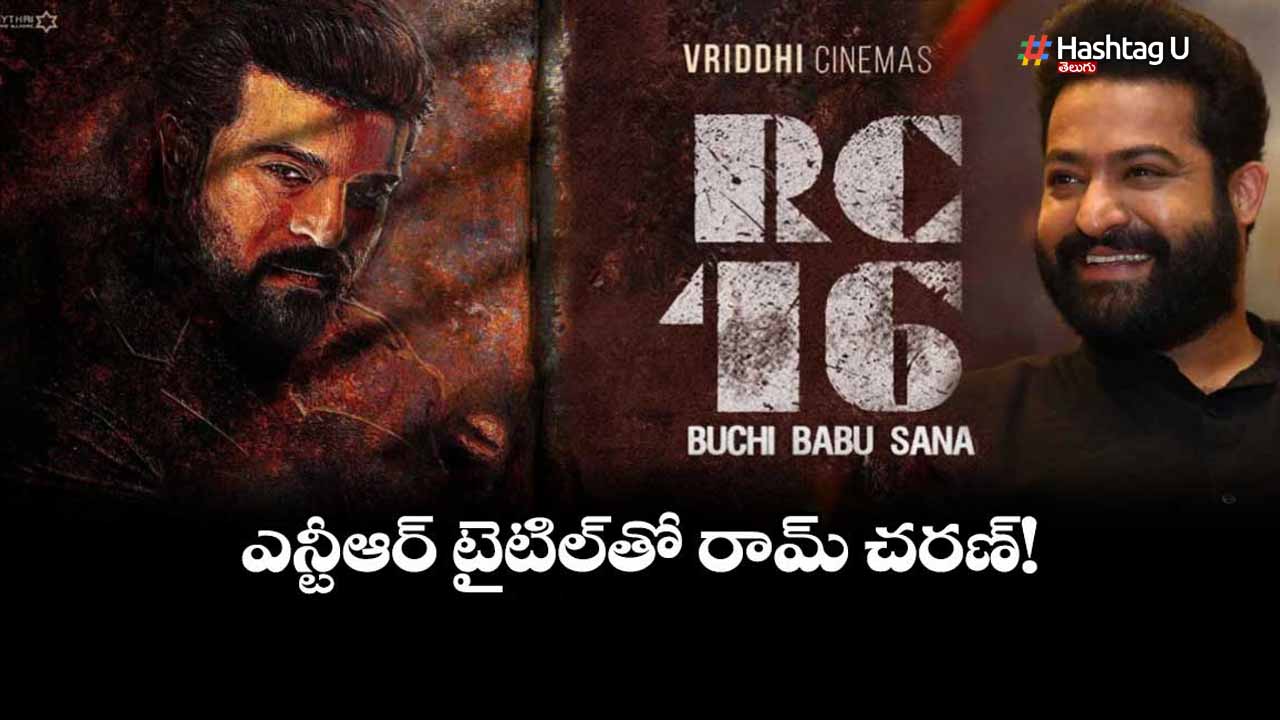 Rc16peddi