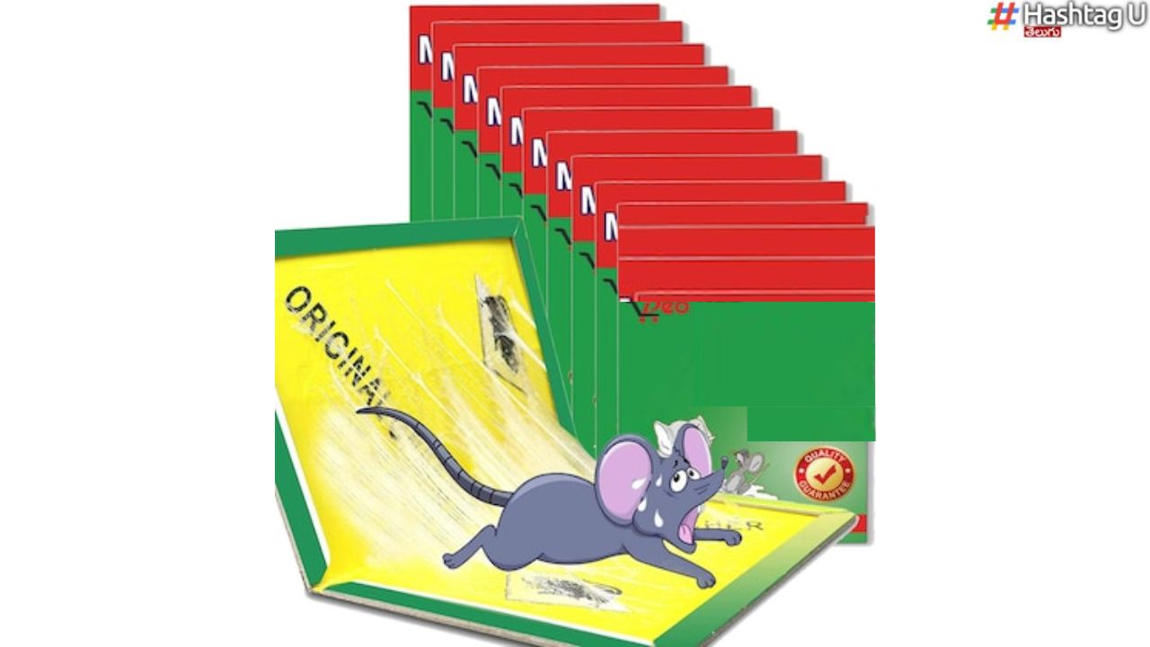 Rat Glue Traps