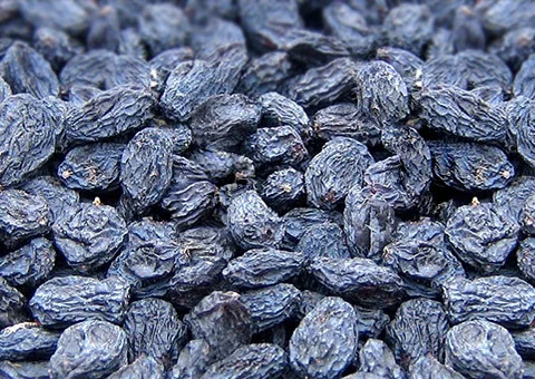 Dry Grapes 500x500