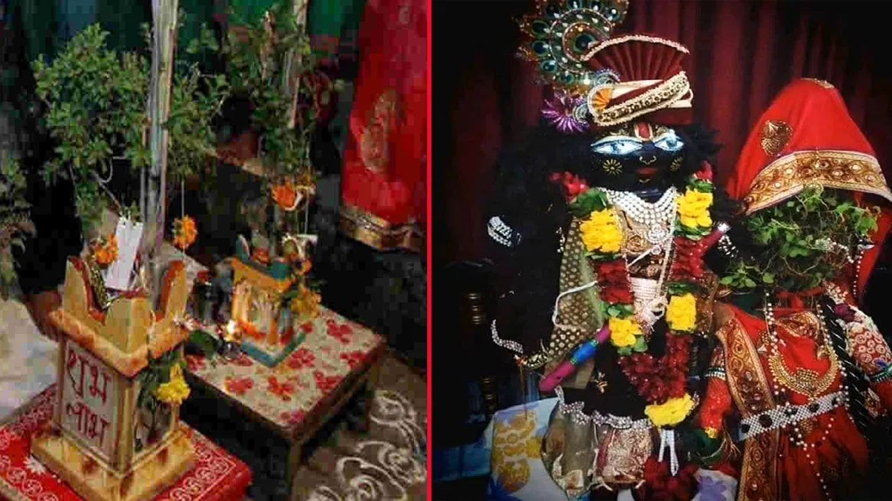 Holi Tulasi Puja