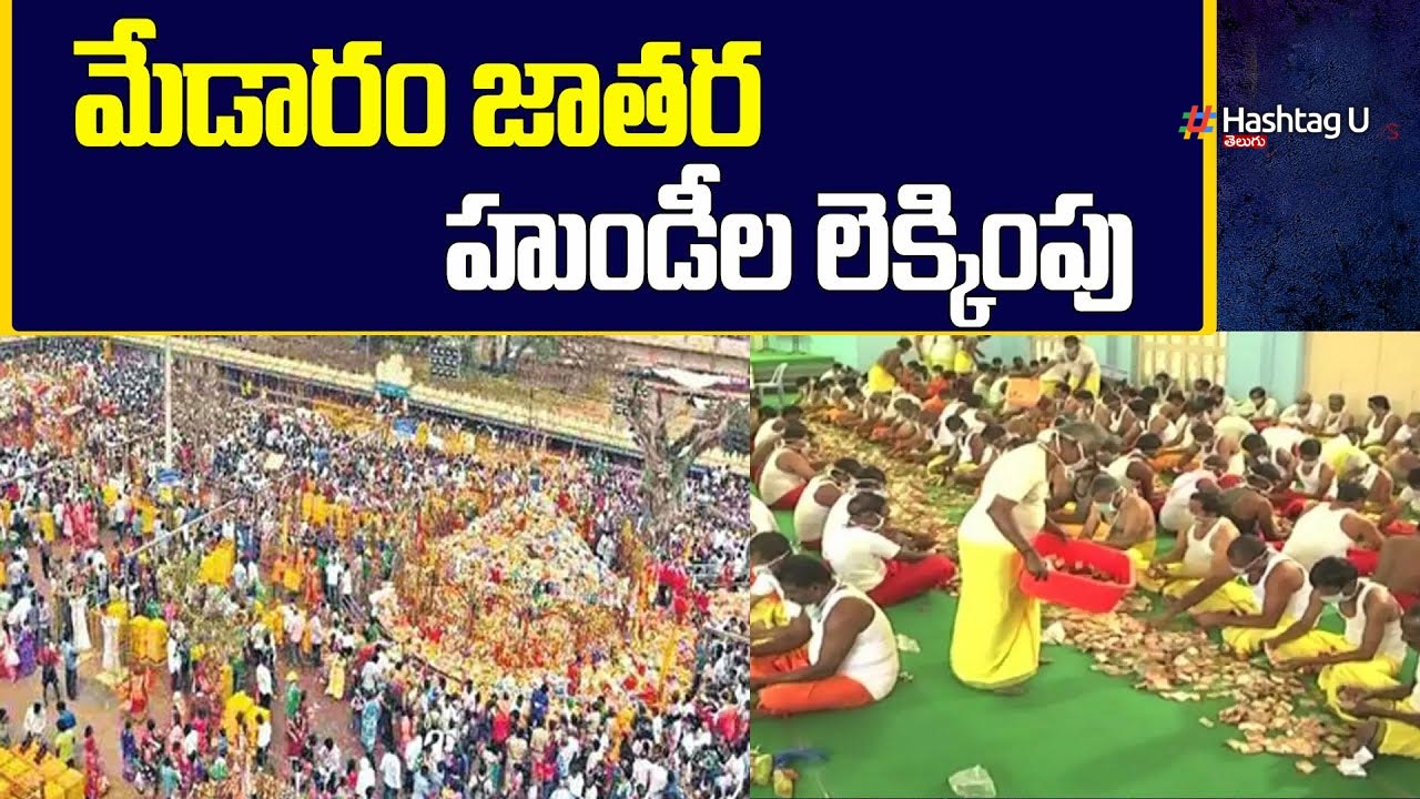 Medaram Hundi Counting Begi