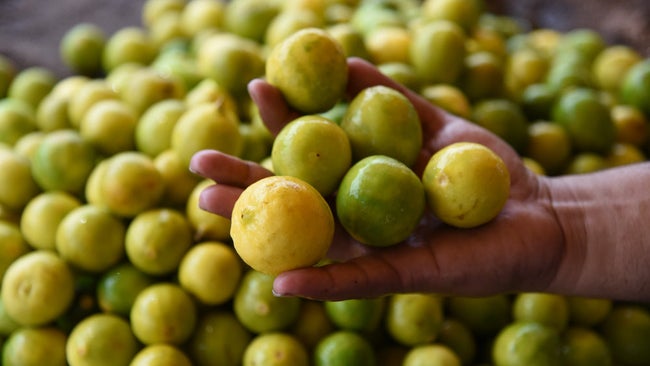 Lemon Price Hike