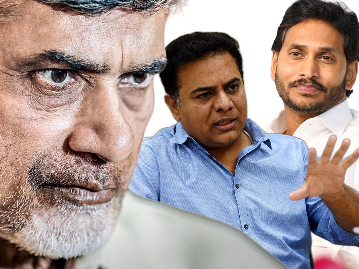 AP Elections 2024