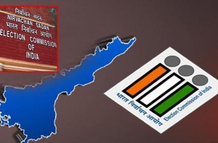 Ap Elections 2024