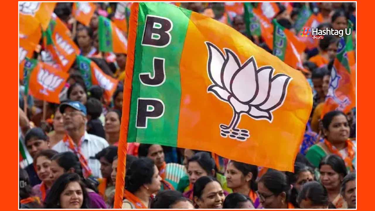 Bjp No Cases