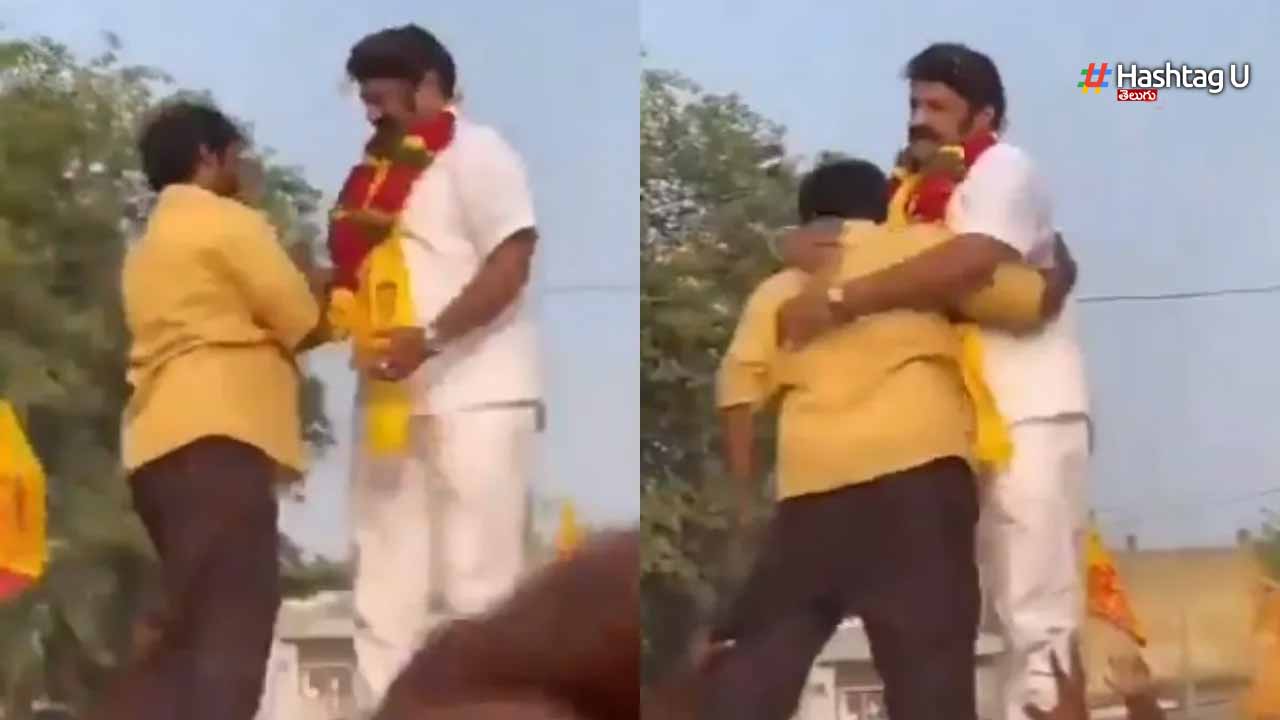 Balayya Fan