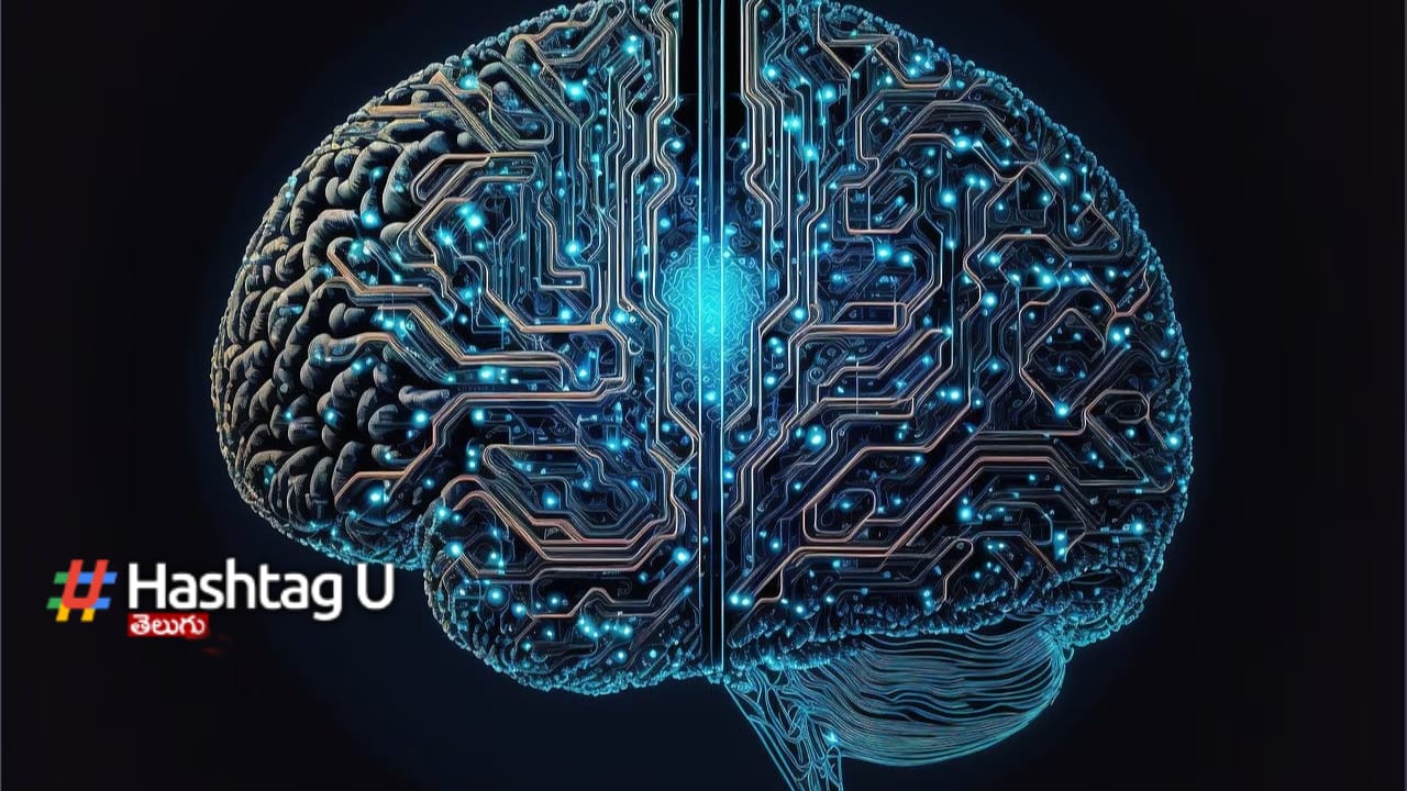 Brain